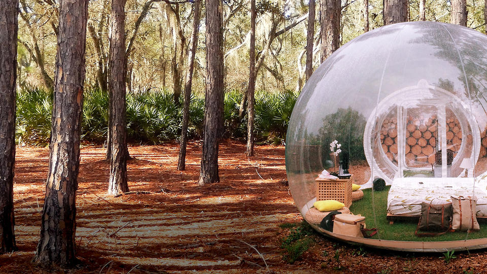 See through bubble tent in a forest
